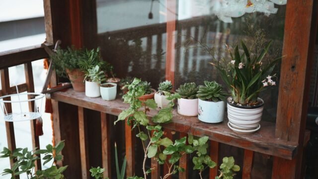 Lage kunststof balkonkast: opbergen én plantentafel in één