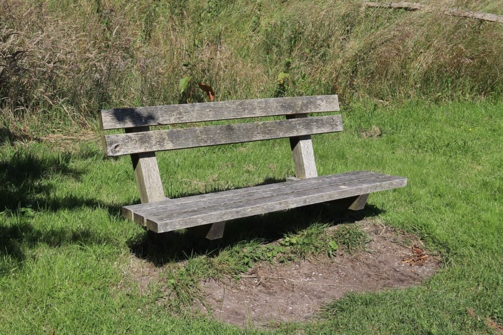Houten tuinbank op het gras in een tuin, kussens voor een goedkope kussenbox van action of een alternatief