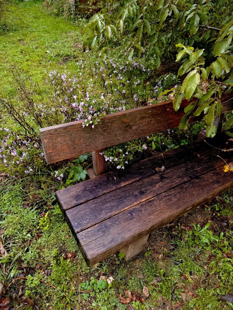 Natte houten tuinbank na regen tussen het groen, waarom een houten tuinkist waterdicht moet zijn