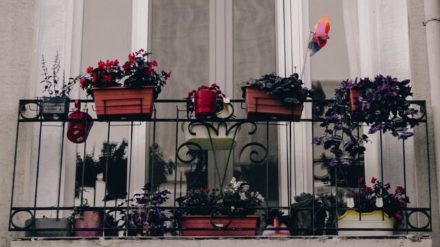 Kleine balkonkast bij Brico: dit zijn je opties
