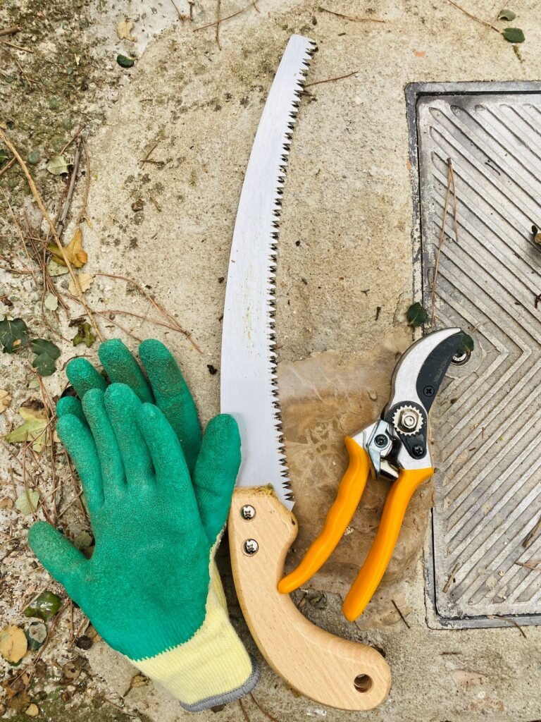 Tuinhandschoenen, snoeischaar en zaag op een tuinpad, gereedschap dat je veilig opbergt in een kunststof tuinkast op slot