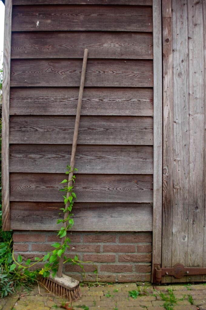 Hark tegen een houten wand in de tuin, lange stelen die passen in een tuinkast hoog