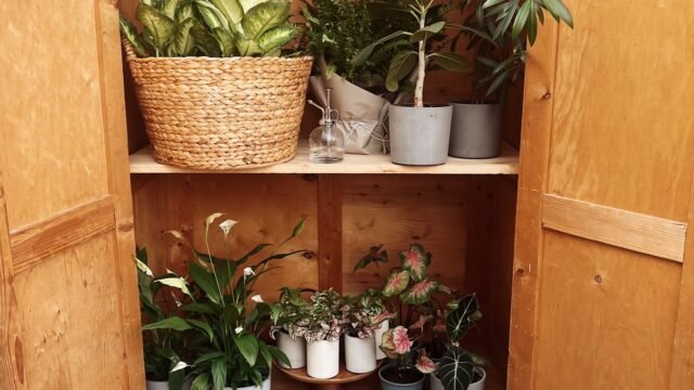 Hoge houten tuinkast: mooi, stevig en zo blijft hij droog
