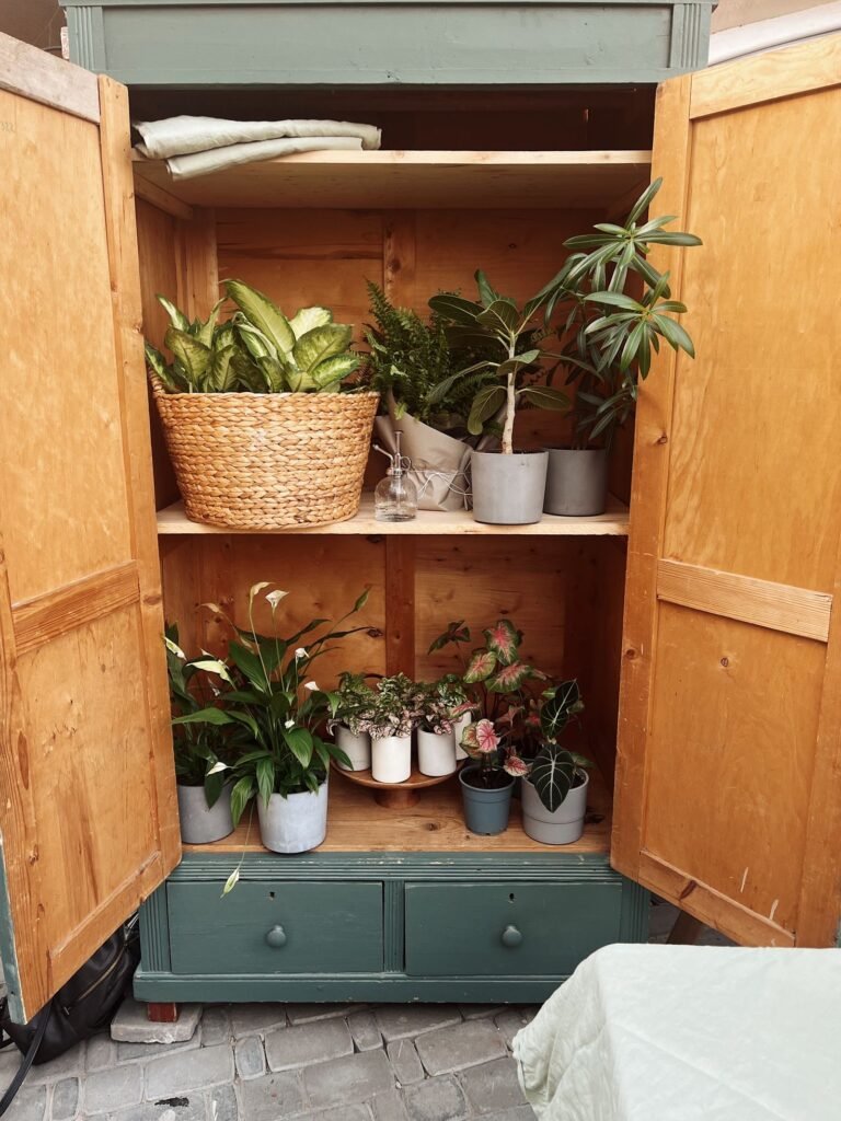 Houten kast met planken vol planten en potten tegen een muur, voorbeeld van een tuinkast hoog hout