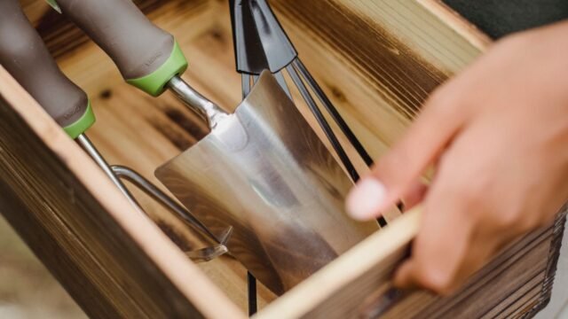 Tuinkist van hout: welke houtsoort kies je en hoe blijft hij mooi?